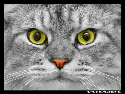 350797 (a): :1024x768